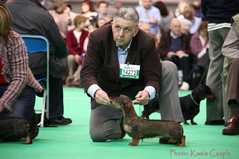 Crufts2011_2 983.jpg